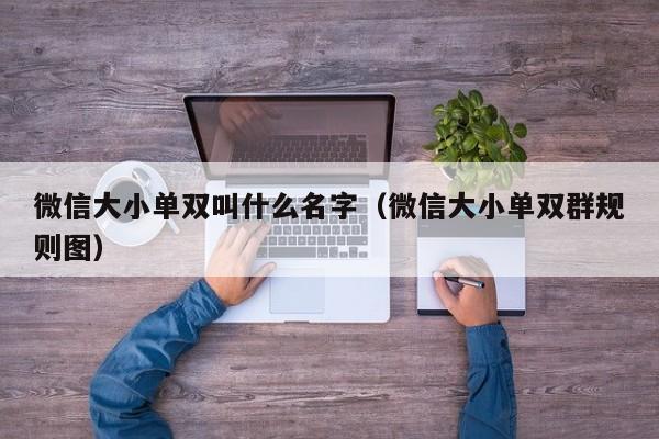 微信大小单双叫什么名字(微信大小单双群规则图)