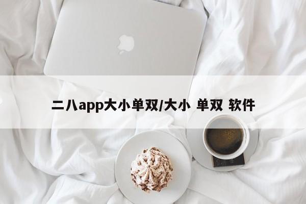 二八app大小单双/大小 单双 软件
