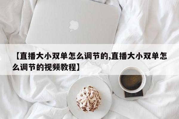 【直播大小双单怎么调节的,直播大小双单怎么调节的视频教程】