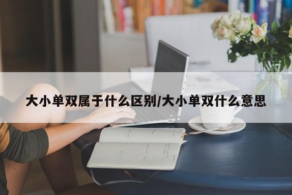 大小单双属于什么区别/大小单双什么意思