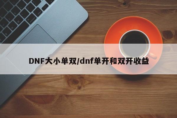 DNF大小单双/dnf单开和双开收益