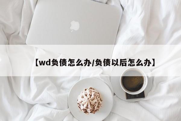 【wd负债怎么办/负债以后怎么办】