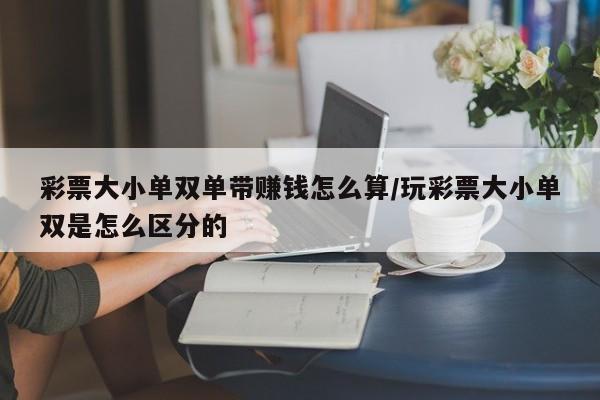 彩票大小单双单带赚钱怎么算/玩彩票大小单双是怎么区分的