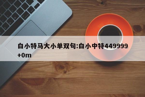 白小特马大小单双句:白小中特449999+0m